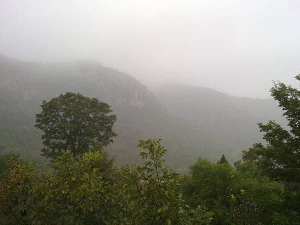 龙集山风景