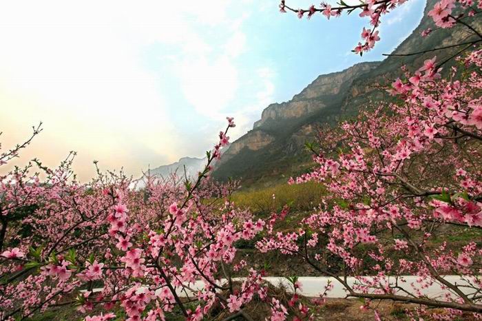 春暖花开