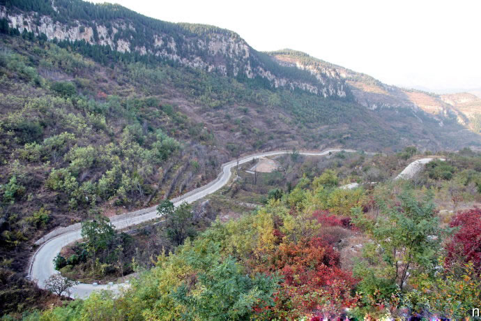 秋天的印象--龙集山风景区秋游随拍